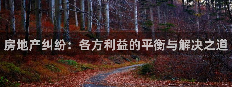 新宝5 888：房地产纠纷：各方利益的平衡与解决之道