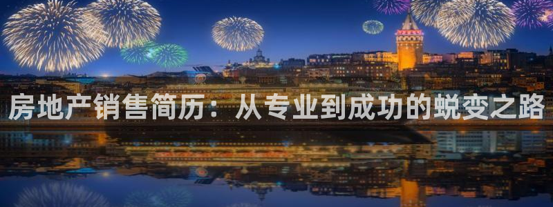 新宝5公司：房地产销售简历：从专业到成功的蜕变之路