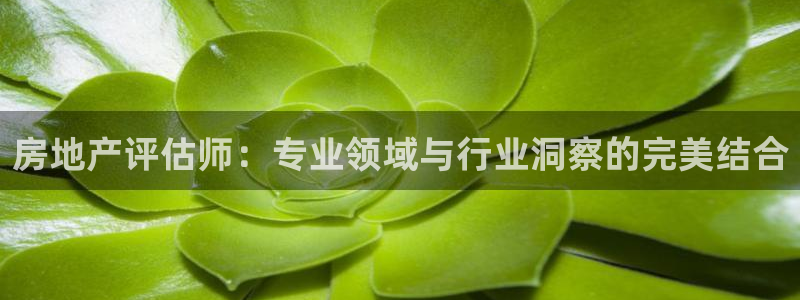 新宝5官网：房地产评估师：专业领域与行业洞察的完美结合