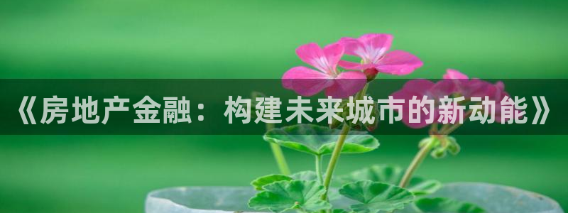新宝5怎么代理：《房地产金融：构建未来城市的新动能》