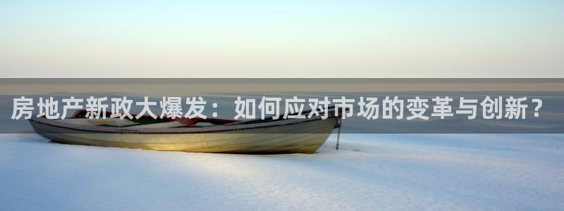 新宝5线路登录：房地产新政大爆发：如何应对市场的变革与创新？