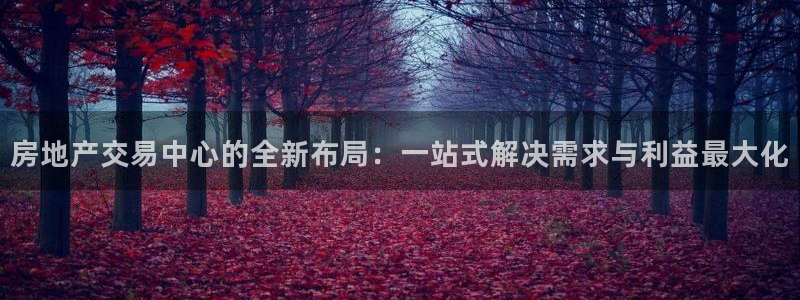 新宝5是谁的：房地产交易中心的全新布局：一站式解决需求与利益
