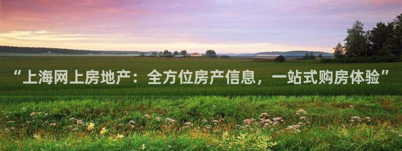 新宝5台卡：“上海网上房地产：全方位房产信息，一站式购房体验