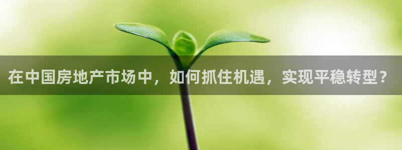 新宝5下载网址