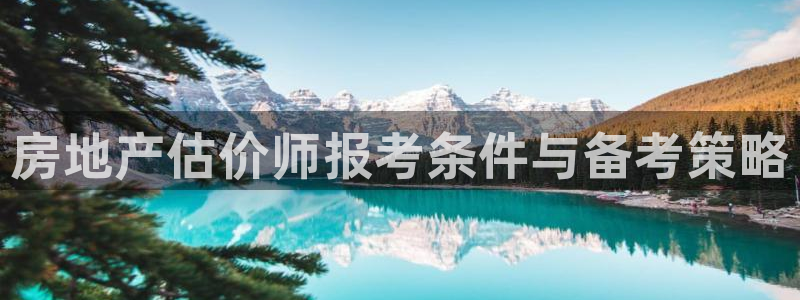 新宝5测速登录：房地产估价师报考条件与备考策略