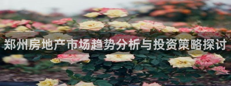 新宝5测登录：郑州房地产市场趋势分析与投资策略探讨