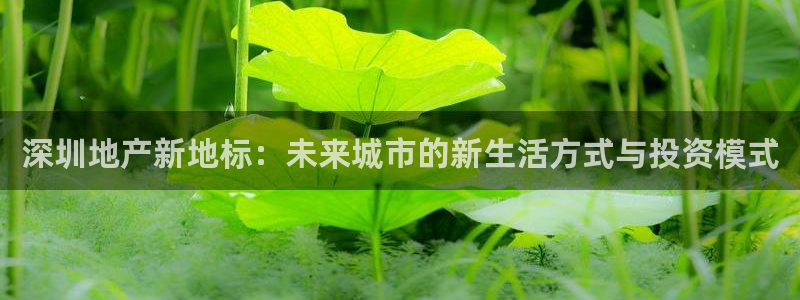新宝5_测：深圳地产新地标：未来城市的新生活方式与投资模式