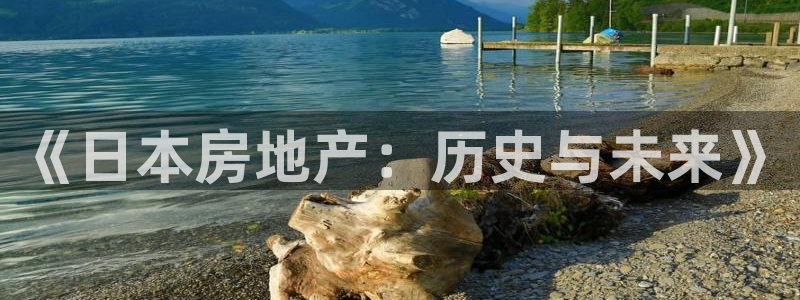 新宝5球维33 300：《日本房地产：历史与未来》