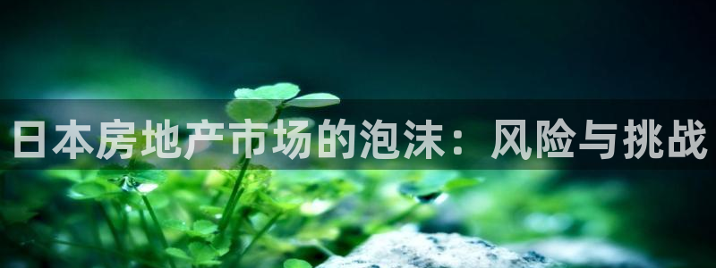 新宝5得74OOO5：日本房地产市场的泡沫：风险与挑战