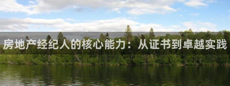 新宝那2O5O5O：房地产经纪人的核心能力：从证书到卓越实践