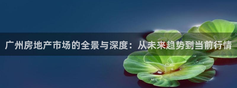 新宝5登录：广州房地产市场的全景与深度：从未来趋势到当前行情