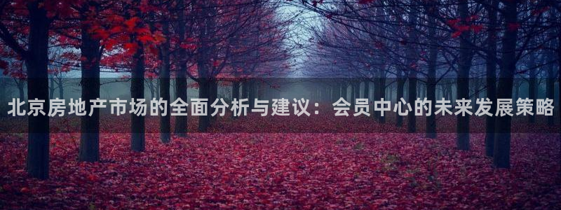 新宝5测速在线：北京房地产市场的全面分析与建议：会员中心的未