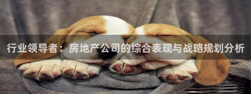 新宝5培训：行业领导者：房地产公司的综合表现与战略规划分析