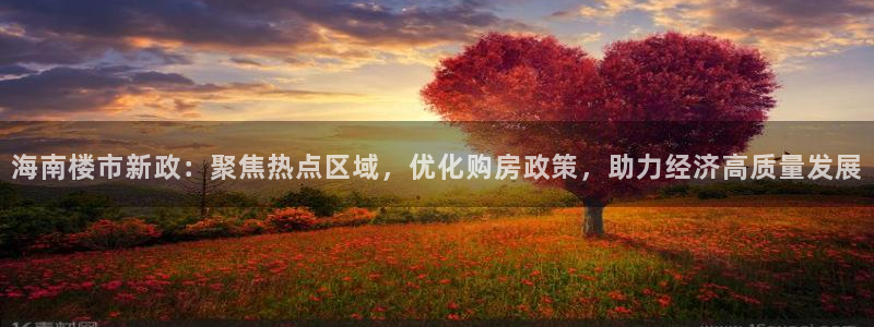 新宝5平台咋样：海南楼市新政：聚焦热点区域，优化购房政策，助
