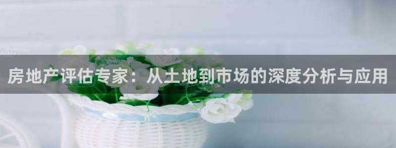 新宝h2O5O5O：房地产评估专家：从土地到市场的深度分析与