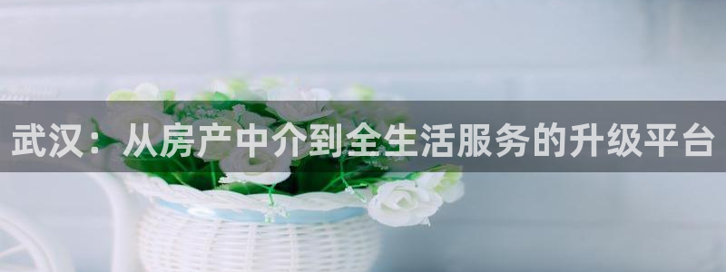 新宝5系列