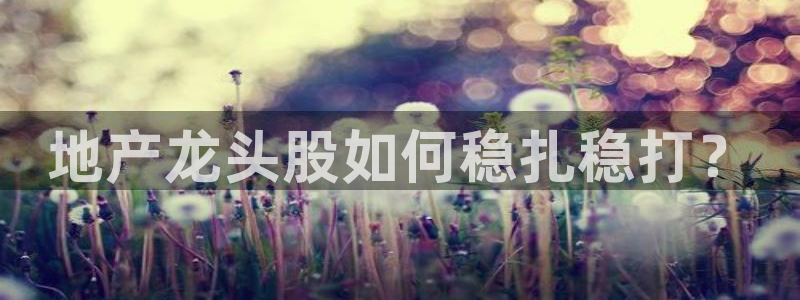 新宝5手机平台登陆：地产龙头股如何稳扎稳打？