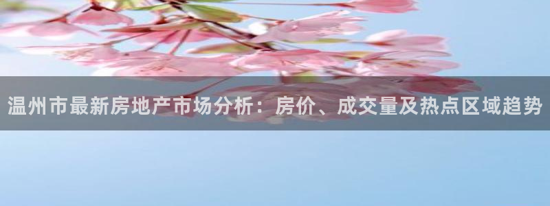 新宝5是谁的：温州市最新房地产市场分析：房价、成交量及热点区