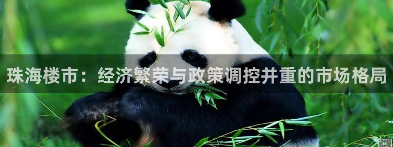 新宝5测速下载：珠海楼市：经济繁荣与政策调控并重的市场格局