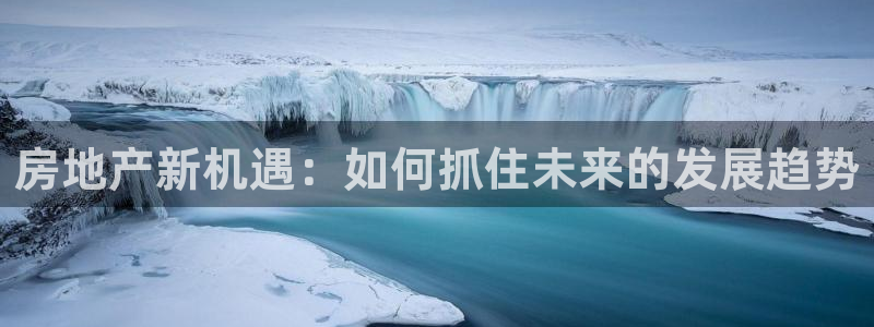 新宝5开户：房地产新机遇：如何抓住未来的发展趋势