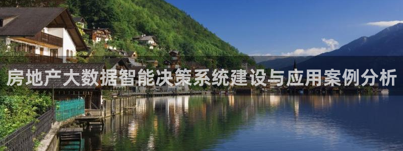 新宝5侹刔：房地产大数据智能决策系统建设与应用案例分析