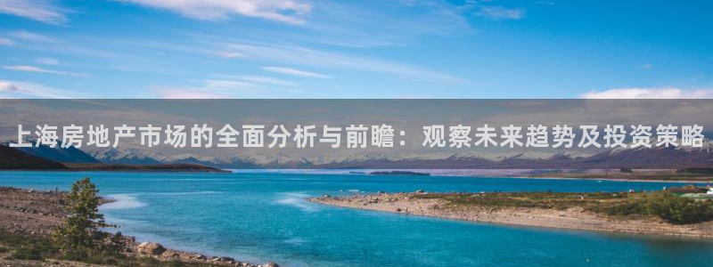 新宝gg5：上海房地产市场的全面分析与前瞻：观察未来趋势及投