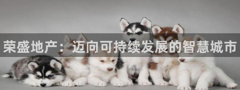 新宝5在哪里：荣盛地产：迈向可持续发展的智慧城市