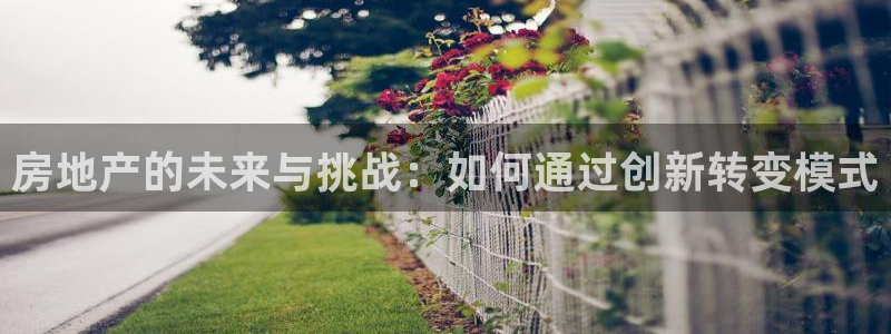 新宝5娱乐招商：房地产的未来与挑战：如何通过创新转变模式