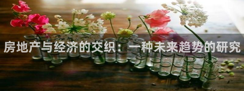 新宝5测速：房地产与经济的交织：一种未来趋势的研究