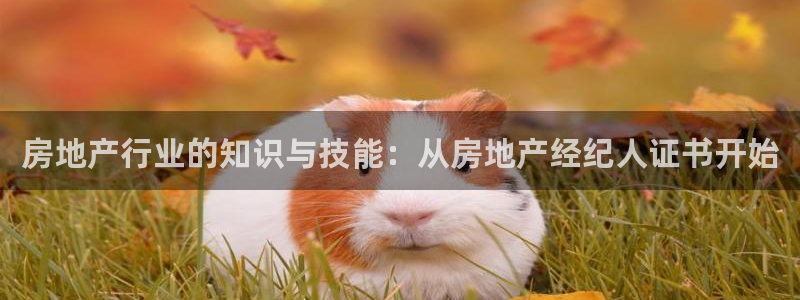 新宝5彩票娱乐平台：房地产行业的知识与技能：从房地产经纪人证
