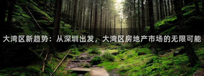 新宝5娱乐多：大湾区新趋势：从深圳出发，大湾区房地产市场的无
