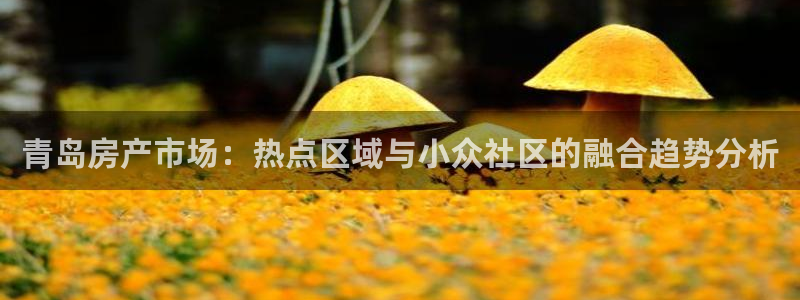 新宝5什么时候上市：青岛房产市场：热点区域与小众社区的融合趋