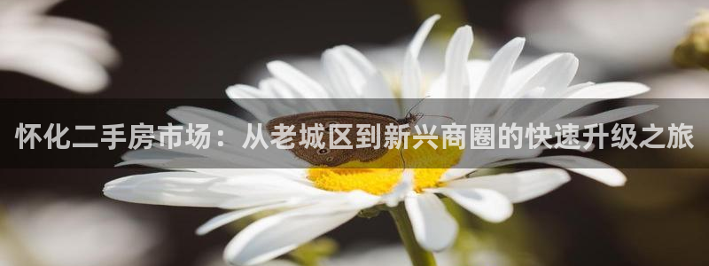 新宝5彩票平台登陆：怀化二手房市场：从老城区到新兴商圈的快速