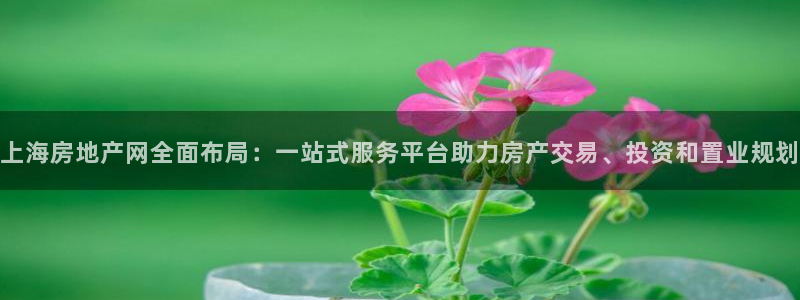 新宝5总代：上海房地产网全面布局：一站式服务平台助力房产交易