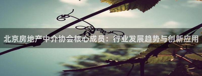 新宝5公司：北京房地产中介协会核心成员：行业发展趋势与创新应