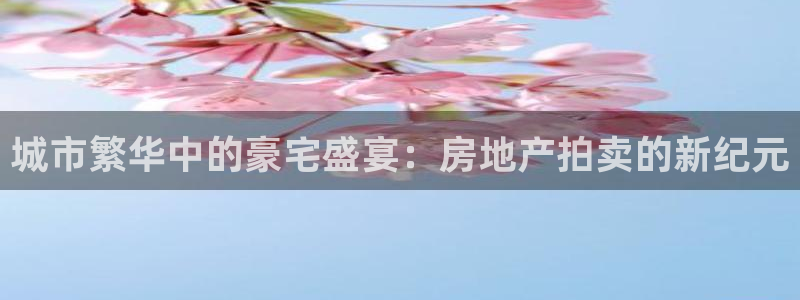 老新宝5授权登录：城市繁华中的豪宅盛宴：房地产拍卖的新纪元