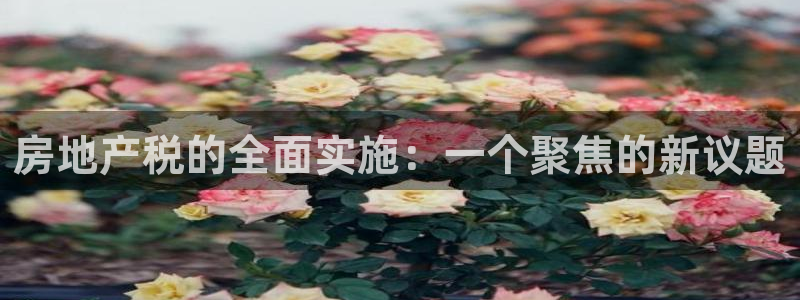 新宝5线路登录：房地产税的全面实施：一个聚焦的新议题