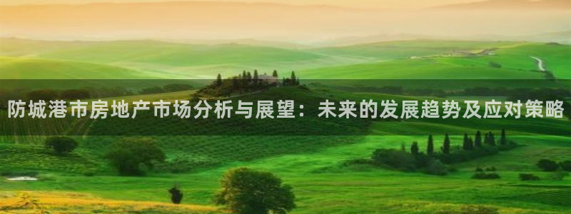 新宝5 注册：防城港市房地产市场分析与展望：未来的发展趋势及