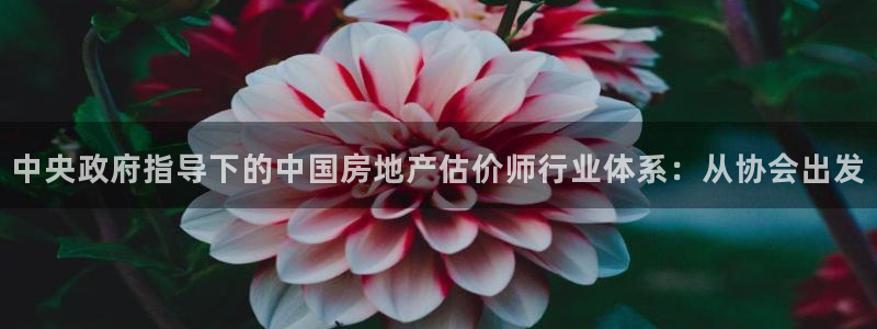 新宝5下载app：中央政府指导下的中国房地产估价师行业体系：