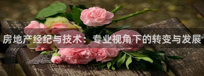 新宝5娱乐同：房地产经纪与技术：专业视角下的转变与发展