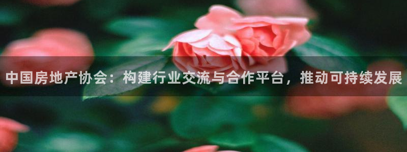 新宝5电脑登录网址：中国房地产协会：构建行业交流与合作平台，