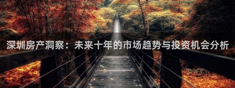 新宝5王问74OOO5：深圳房产洞察：未来十年的市场趋势与投