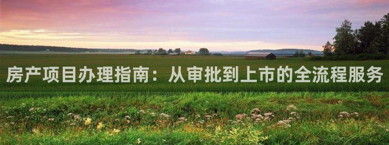 新宝5彩票是正规平台吗：房产项目办理指南：从审批到上市的全流