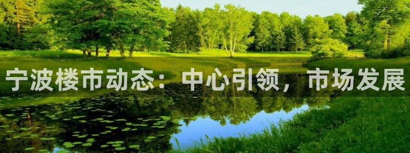 新宝5手机版登录：宁波楼市动态：中心引领，市场发展