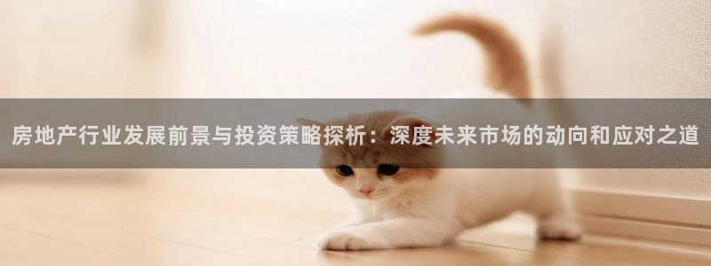 新宝5登录地址：房地产行业发展前景与投资策略探析：深度未来市