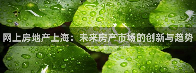 新宝5手机登陆：网上房地产上海：未来房产市场的创新与趋势