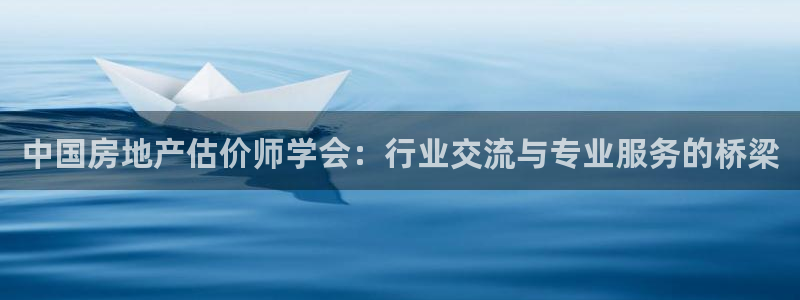 新宝5招商：中国房地产估价师学会：行业交流与专业服务的桥梁