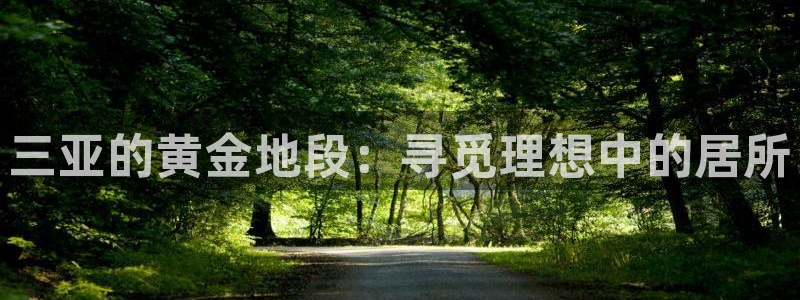 新宝5授权：三亚的黄金地段：寻觅理想中的居所