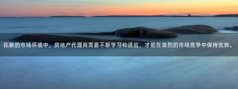 新宝5策略：在新的市场环境中，房地产代理商需要不断学习和适应