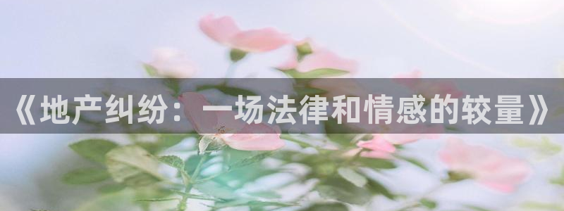 新宝5寂创33300散：《地产纠纷：一场法律和情感的较量》